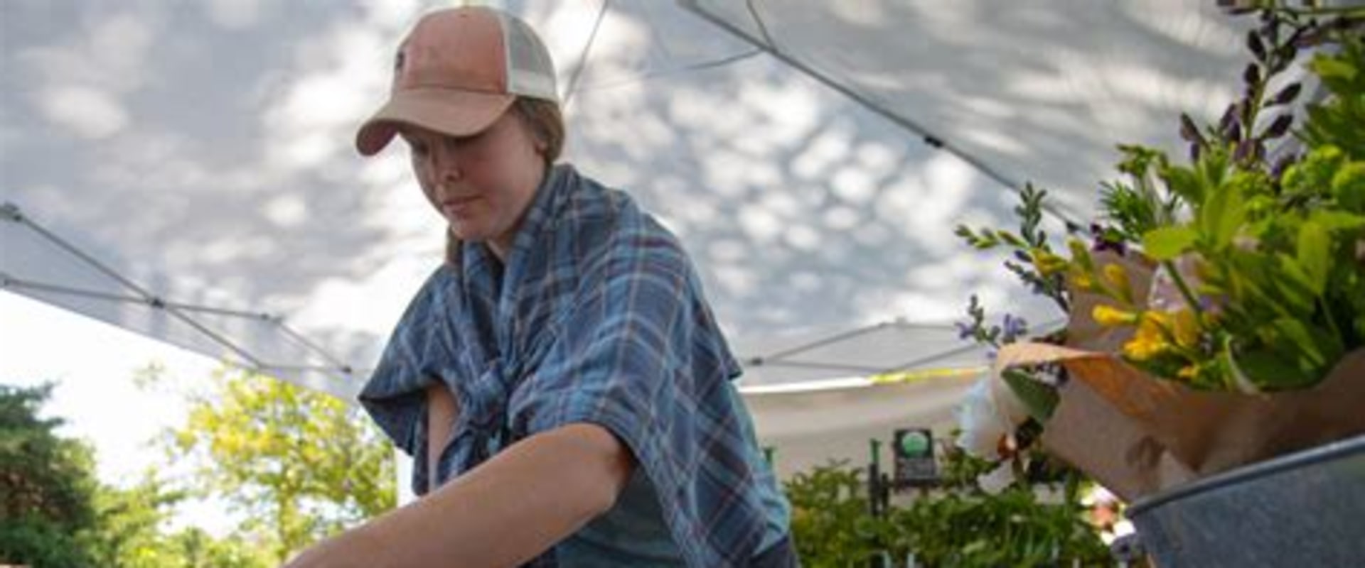 Exploring Farmers Markets and Local Produce in Wilton, CT