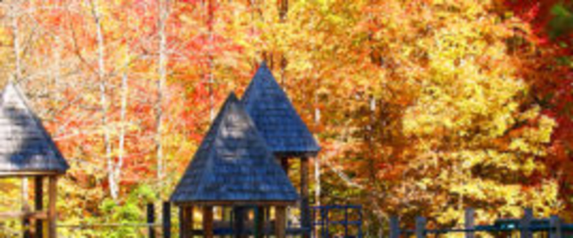 Exploring Parks and Recreation in Wilton: A Lifestyle Perspective