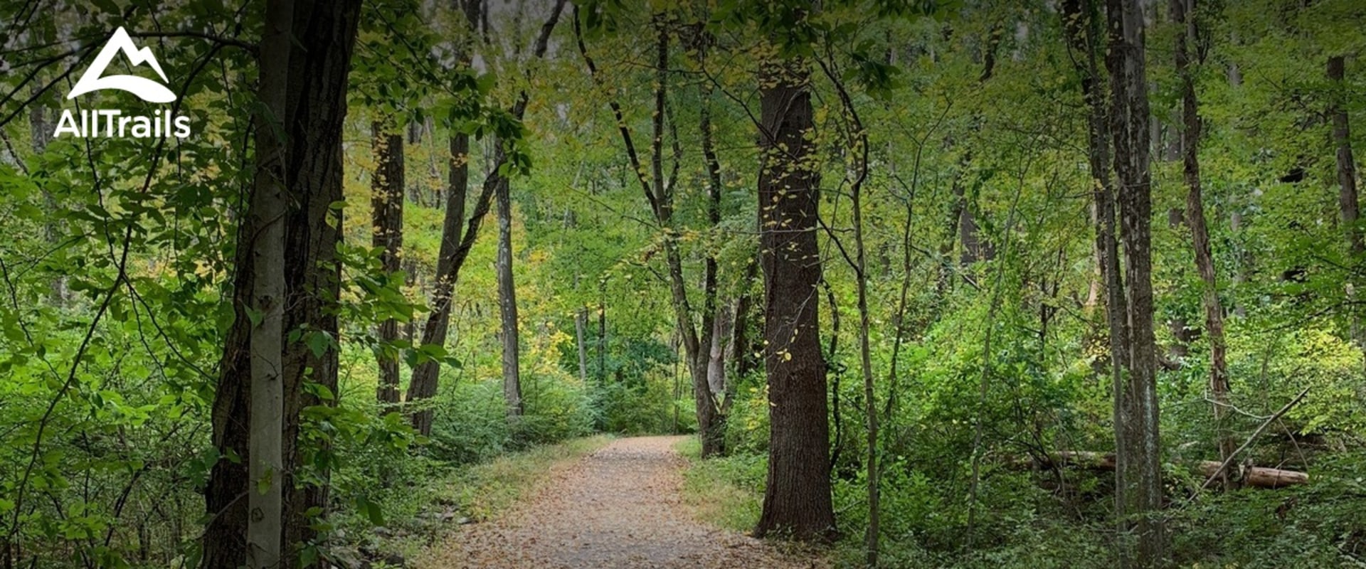 Exploring the Best Parks and Trails in Wilton, CT