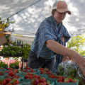 Exploring Farmers Markets and Local Produce in Wilton, CT