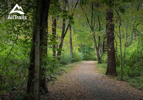 Exploring the Best Parks and Trails in Wilton, CT